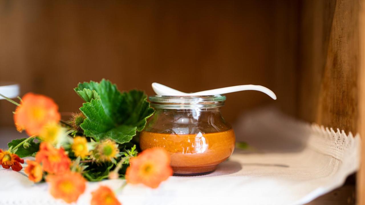 Natura Boutique Chalet Wellness Spa Dobbiaco Kültér fotó